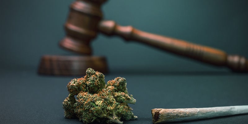 França & Cannabis gratuita - Definição dos detalhes