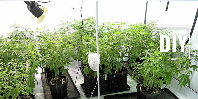Como criar um humidificador caseiro para a sua sala de cultivo de canábis