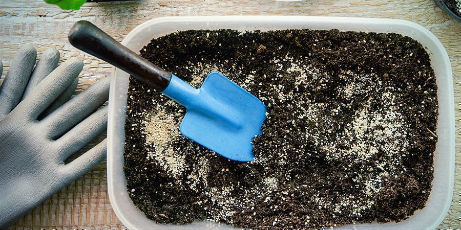 O solo base perfeito para as suas plantas de canábis
