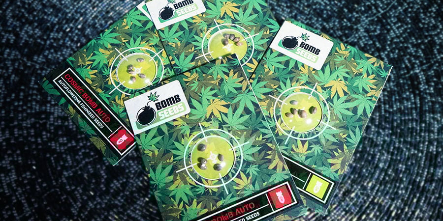 Descubra a Bomb Seeds