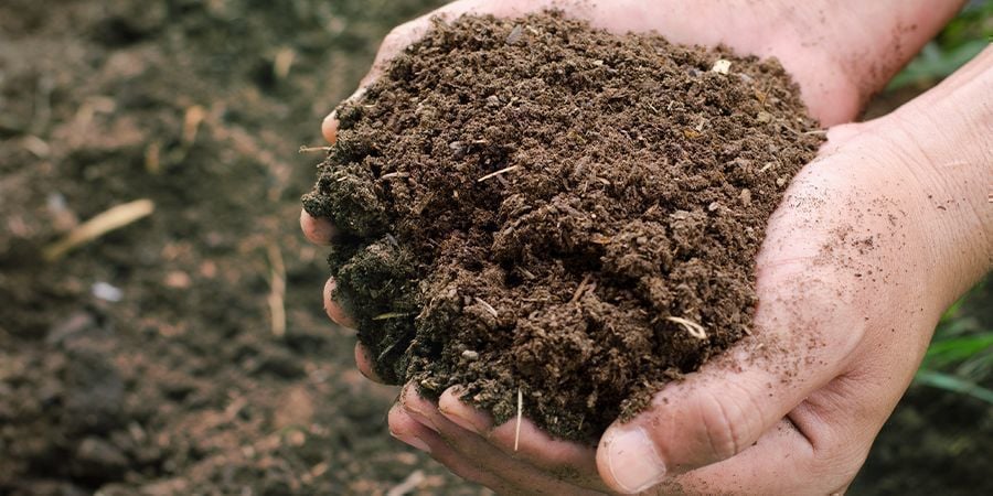 Composto seco e fibroso
