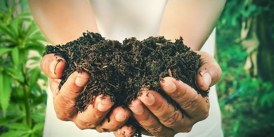 COMO FAZER O SEU PRÓPRIO COMPOSTO PARA PLANTAS DE CANNABIS