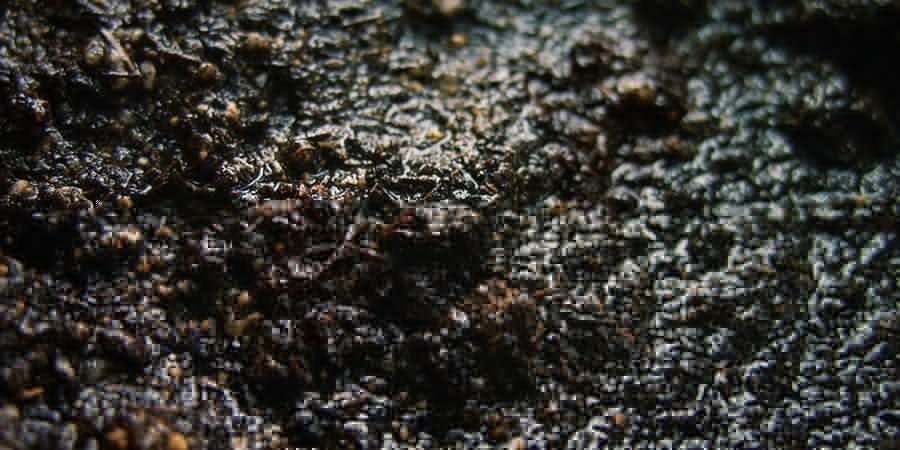 COMPOSTAGEM HÚMIDA E PEGAJOSA