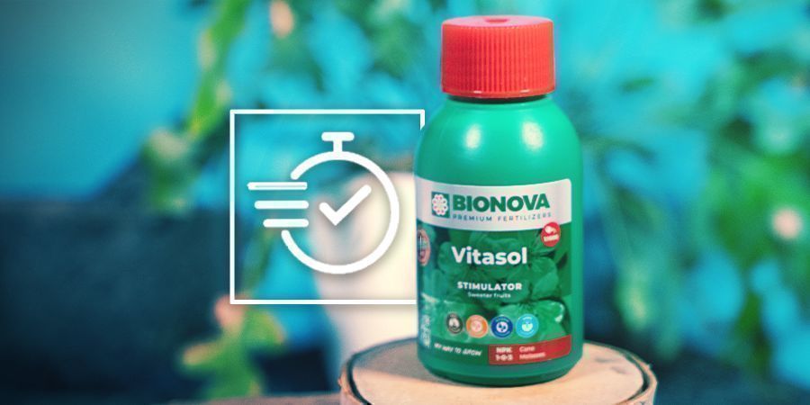 Vantagens e desvantagens dos nutrientes líquidos