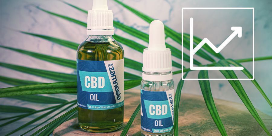 Como Potenciar os Efeitos do CBD?