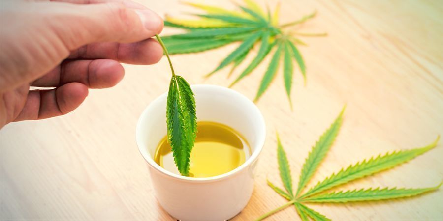 Concentrados de canábis em comestíveis: infusão na gordura à escolha