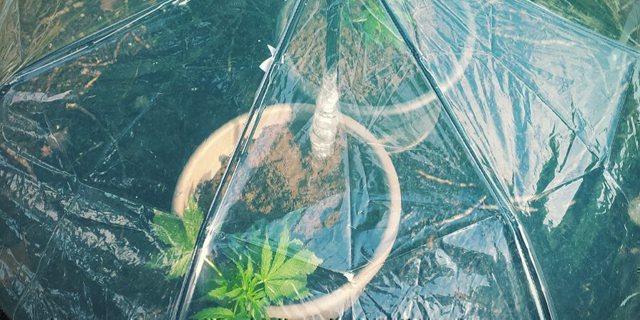 Métodos DIY