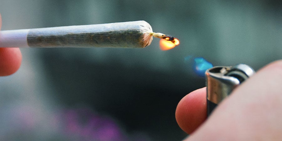 Como detetar contaminantes na canábis: preste muita atenção ao acender um charro, cachimbo ou bong