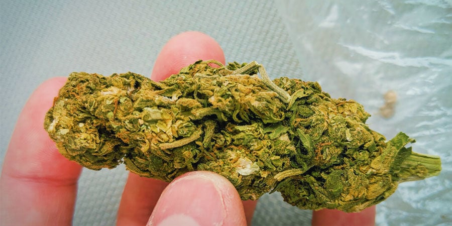 Contaminantes na cannabis: Areia