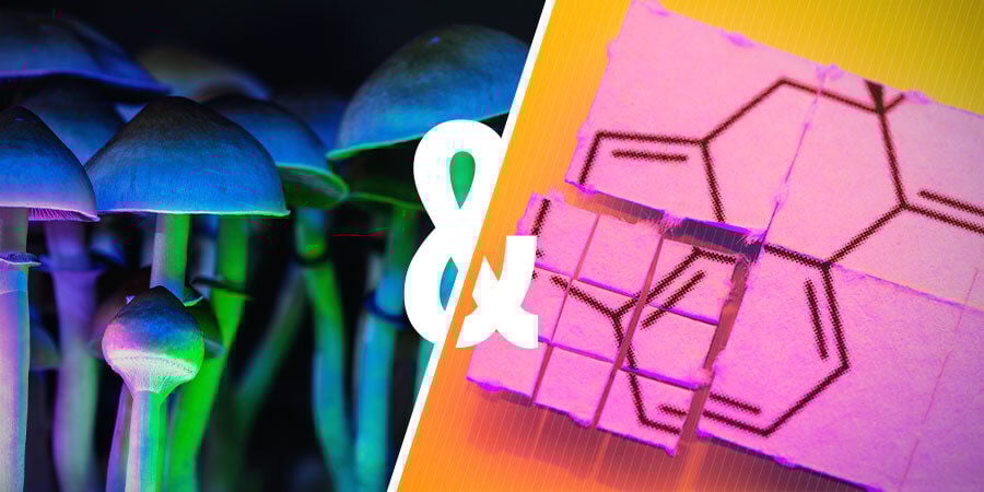 É possível combinar cogumelos mágicos e LSD?
