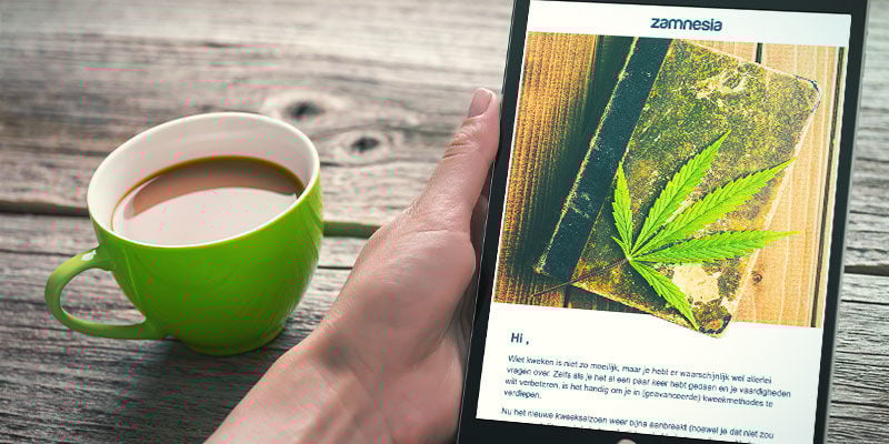 Subscreve newsletters de breeders e bancos de sementes de referência