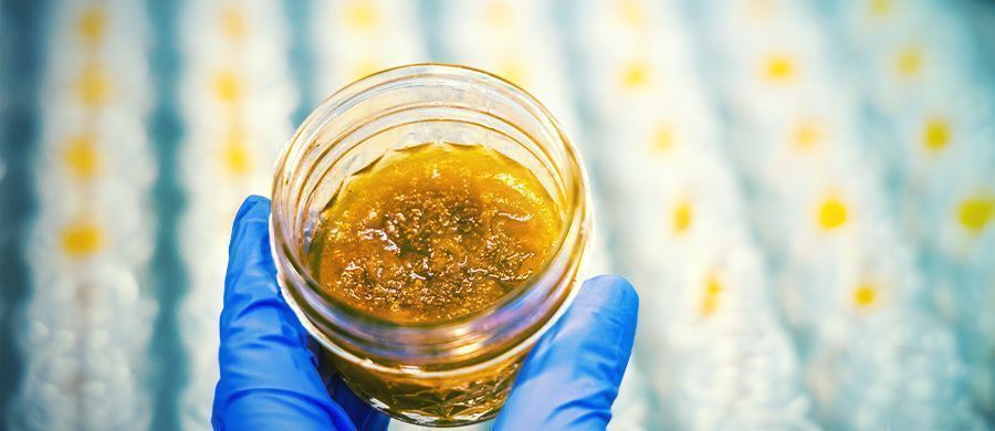 r/dabs: Discussão sobre dabs e extratos de cannabis