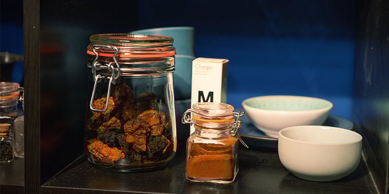 Como conservar chaga