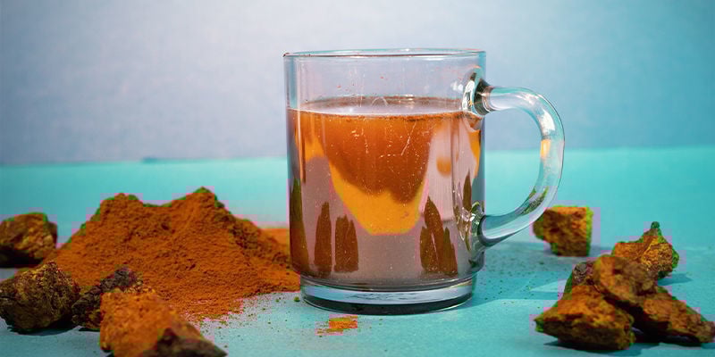 Como Usar Chaga