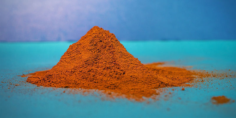 Chaga em pó — Pó ou extrato
