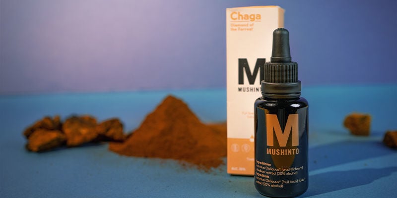Usar tinturas de chaga