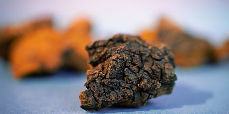 Como é o Chaga?