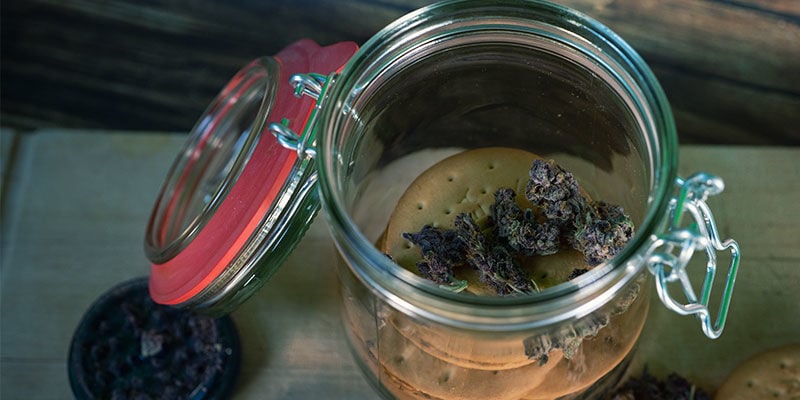 É possível conservar firecrackers de canábis? É possível conservar firecrackers de canábis?