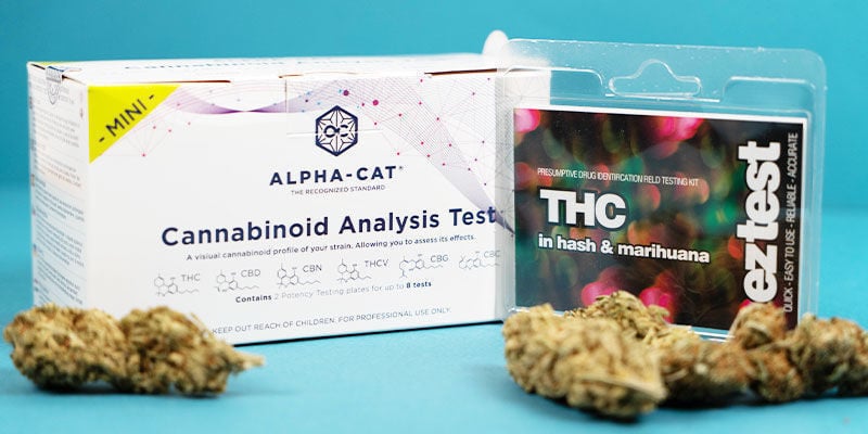 Como testar os níveis de THC e CBD nos produtos de canábis