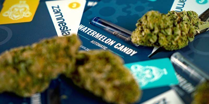 Watermelon Candy: Pronta para Colher