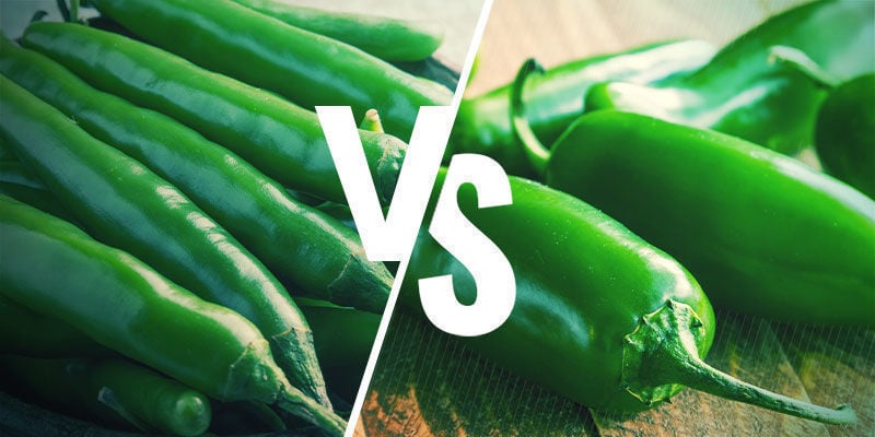 As malaguetas verdes e os jalapeños são o mesmo?