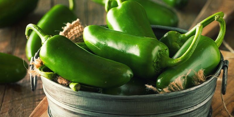 Inicie já o seu projeto de pimentos — Está a um passo do paraíso dos jalapeños