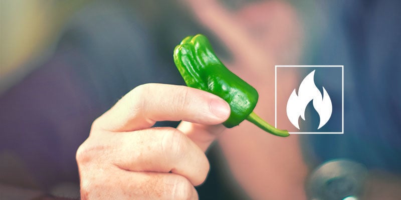 Como é picante a pimenta jalapeño?