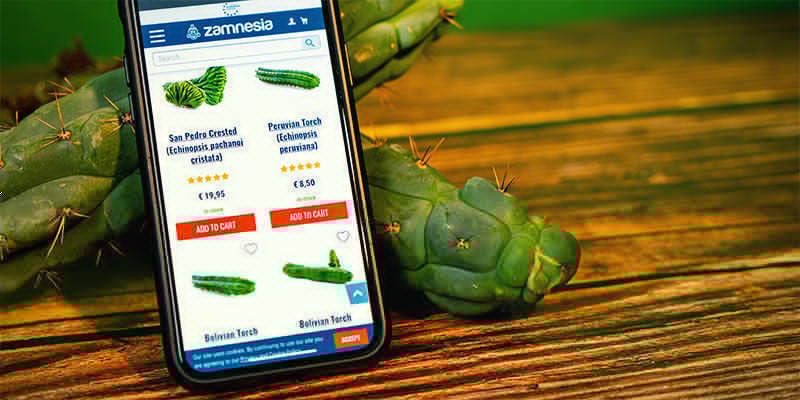 Onde comprar Echinopsis Zamnesiana