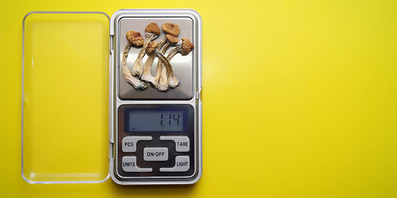 Como calcular a dose de cogumelos mágicos de diferentes potências