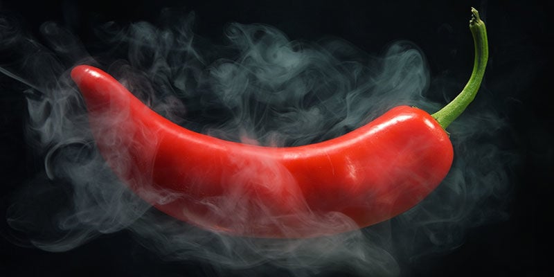 Possíveis novos candidatos à pimenta mais picante do mundo