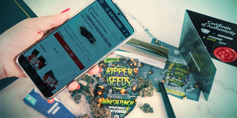 Amnesia Punch: Disponível Agora