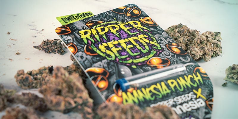 Os efeitos da Amnesia Punch