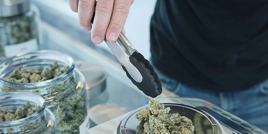 Diferenças no acesso à canábis medicinal e recreativa