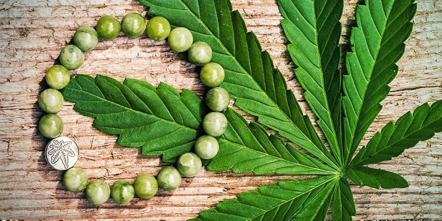 O cânhamo está na moda: uma planta com mil utilizações