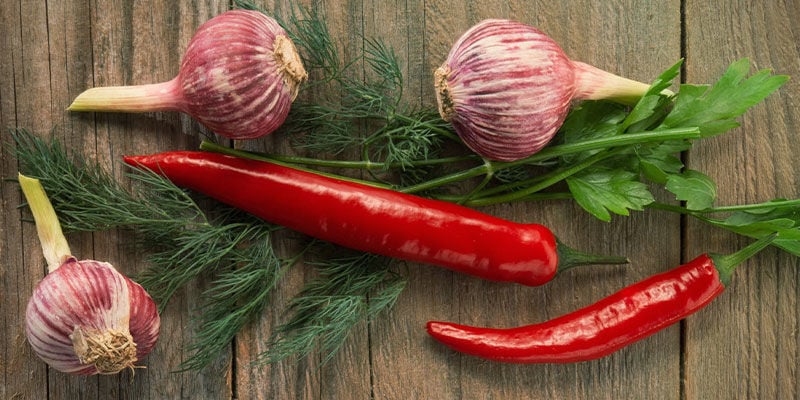 3 Ervas para plantar junto ao pimento