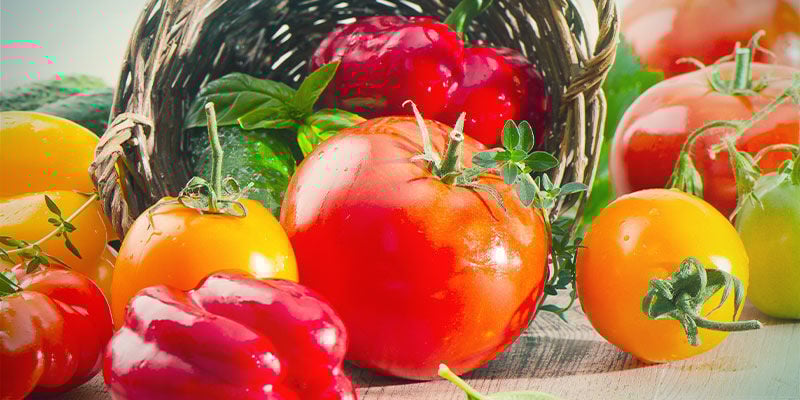 É possível cultivar tomates e malaguetas juntos?