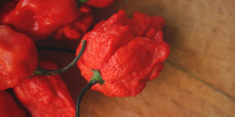 Estás pronto para a Carolina Reaper?