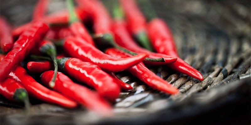 Como colher pimentos Cayenne Long Slim