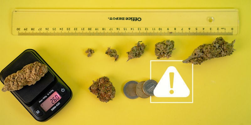 Os riscos de utilizar balanças caseiras para medir cannabis