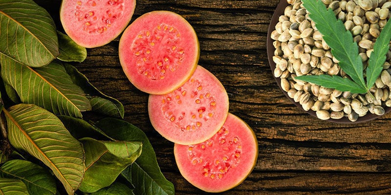 Frosted Guava: Sabor e Efeitos