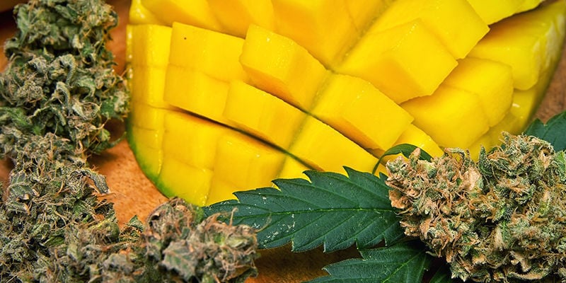 Alimentos com mirceno
