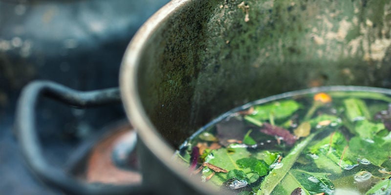 Que alimentos interagem com alucinogénios?