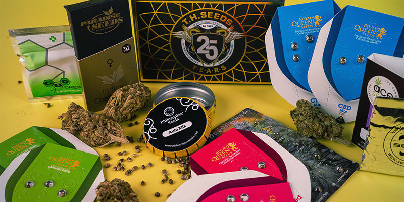 Vantagens dos packs de sementes de cannabis