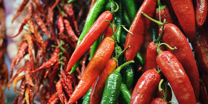 Como secar malaguetas e pimentos