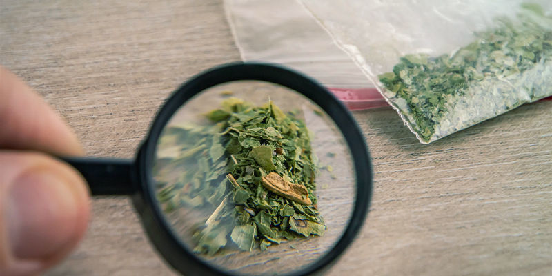 Canabinóides ácidos, descarboxilados e sintéticos: compreender as diferenças