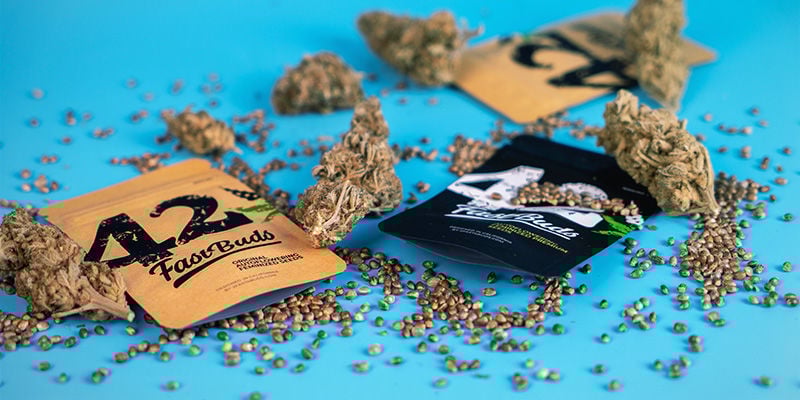 As sementes autoflorescentes de referência da FastBuds