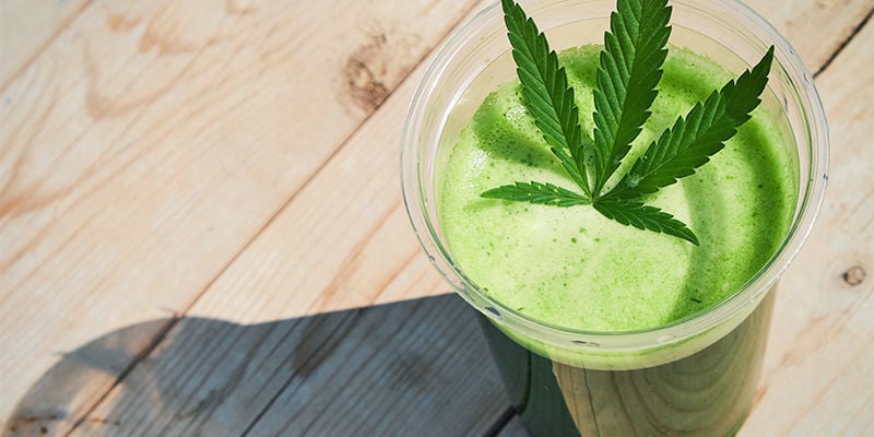 Sumo de canábis cru: um novo método de consumo
