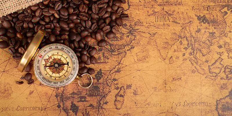 Origens da cafeína