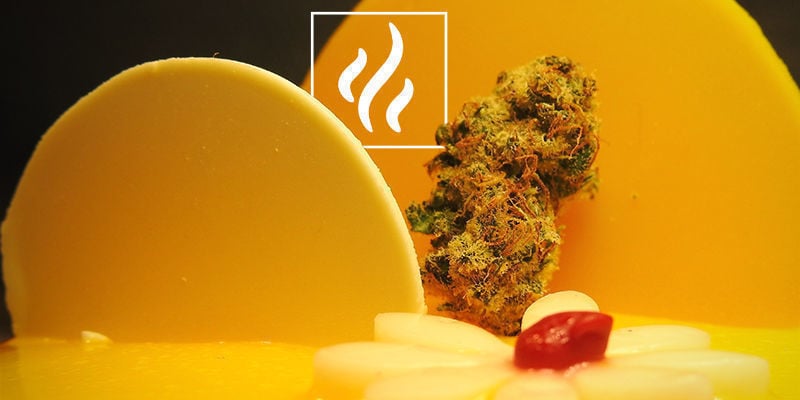 Aroma E Sabor Do Mirceno