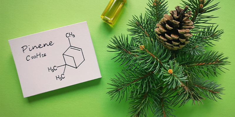 Qual é a estrutura química do pinene?
